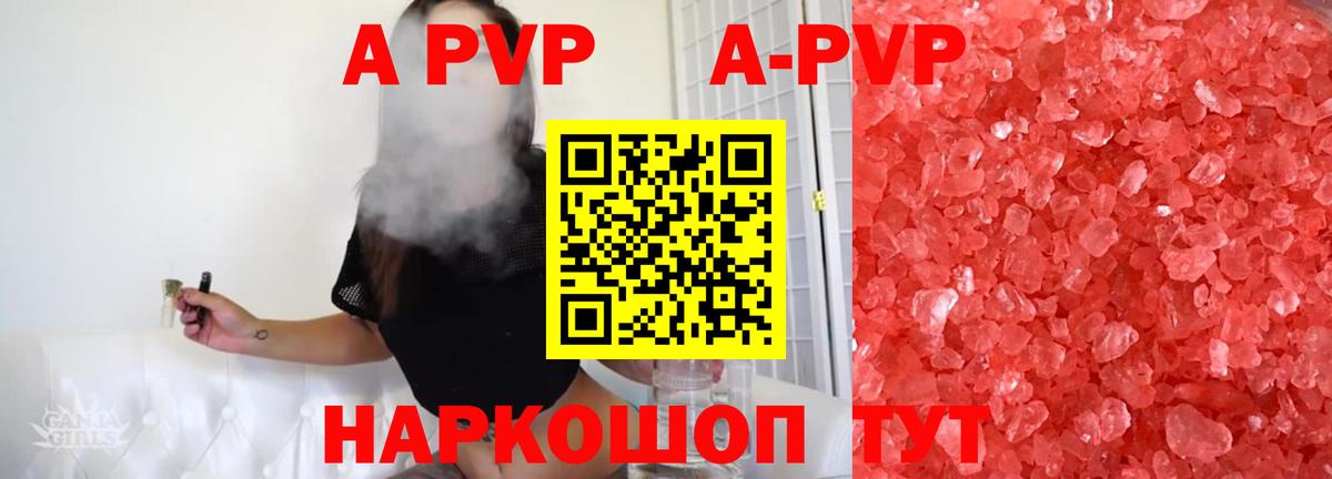 A PVP СК Брянск