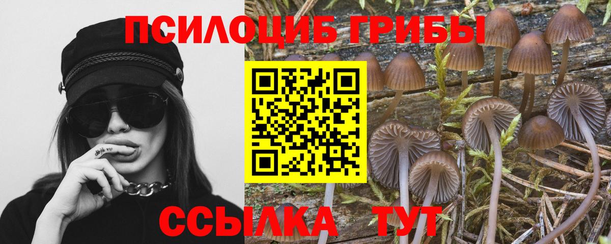 Галлюциногенные грибы Magic Shrooms Брянск