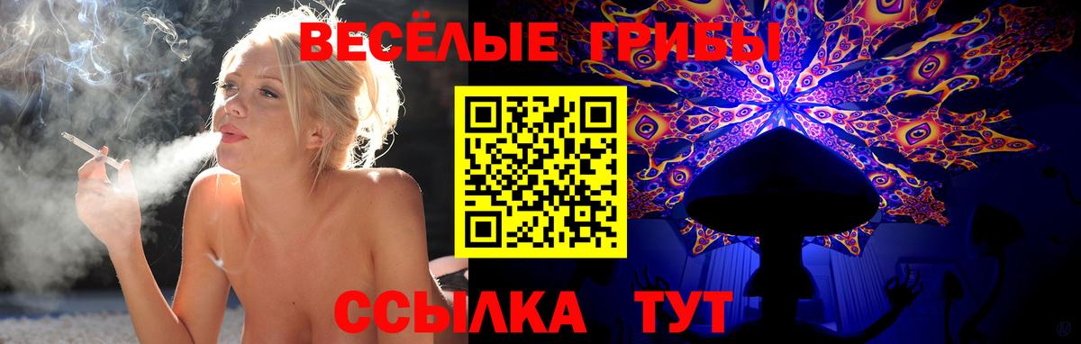 магазин продажи наркотиков  Вход с VPN  Брянск  Галлюциногенные грибы ЛСД  Галлюциногенные грибы мухоморы 
