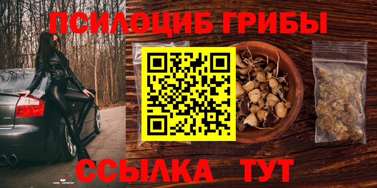 Галлюциногенные грибы GOLDEN TEACHER Брянск